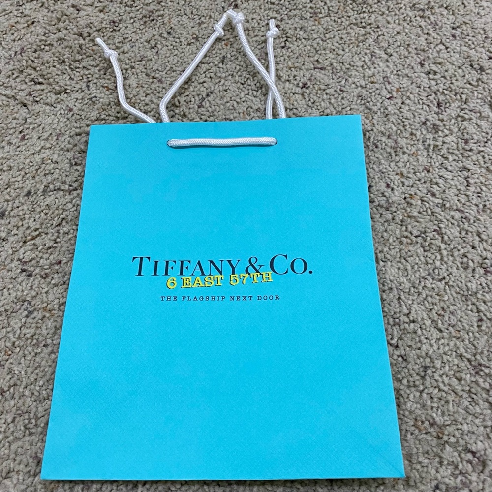 Tiffany & Co Flagship Next Door Limited Edition Shopping Bag